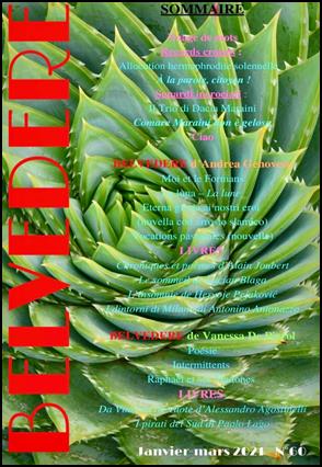 Une image contenant plante, agave  Description générée automatiquement