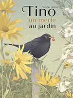 Nicolas JOLIVOT, Tino, un merle au  jardin