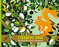 C&eacute;cile JACOUD, L&rsquo;&eacute;cureuil roux